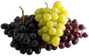 grapes3_small1
